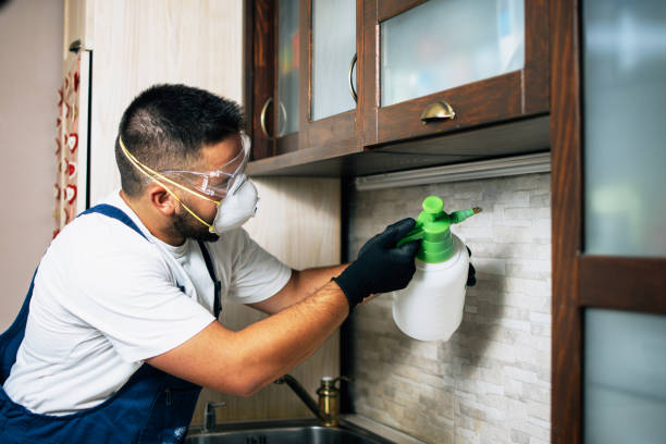 Best Affordable Pest Control Services  in Bangs, TX