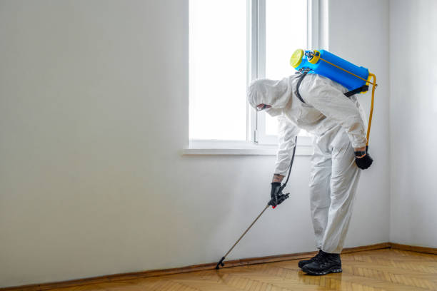 Best Best Pest Control Companies  in Bangs, TX