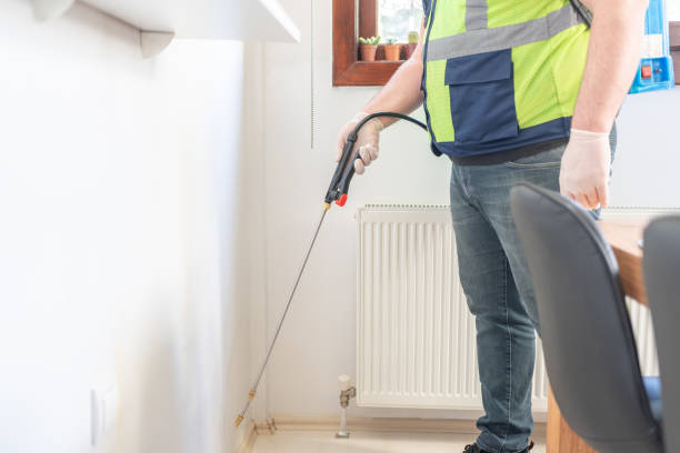 Reliable Bangs, TX Pest Control Solutions