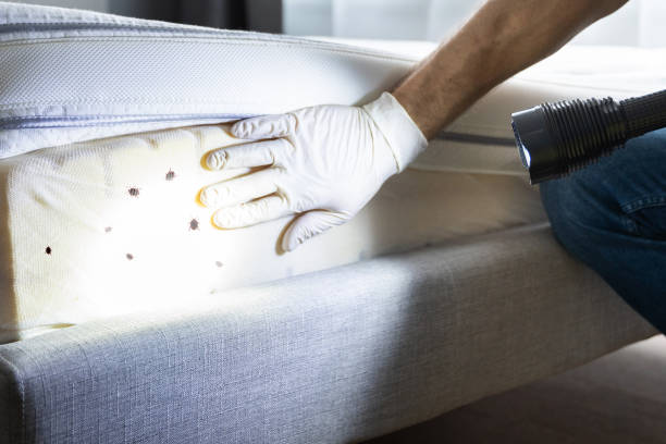 Best Pest Inspection Near Me  in Bangs, TX