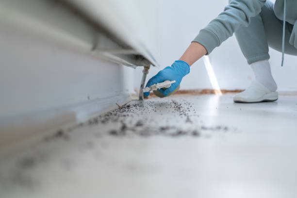 Best Wildlife Control Services  in Bangs, TX